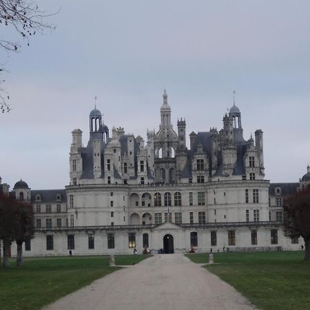 Neung-sur-Beuvron Gite Le Cerf Solognot Proche Chateau Chambord, Lamotte Beuvron מראה חיצוני תמונה