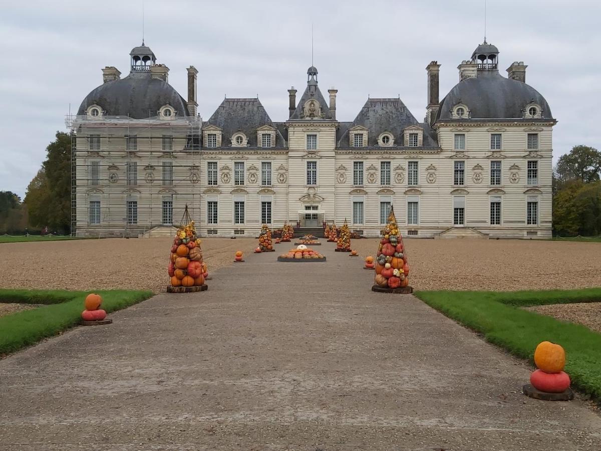 Neung-sur-Beuvron Gite Le Cerf Solognot Proche Chateau Chambord, Lamotte Beuvron מראה חיצוני תמונה